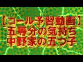 【コール予習動画】五等分の気持ち/中野家の五つ子(花澤香菜・竹達彩奈・伊藤美来・佐倉綾音・水瀬いのり