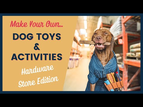 DIY: Make Puzzle Toys for Your Dog Using Recycling — Tails of Connection -  How to connect with my dog, online dog training, strengthen your bond, dog  owners