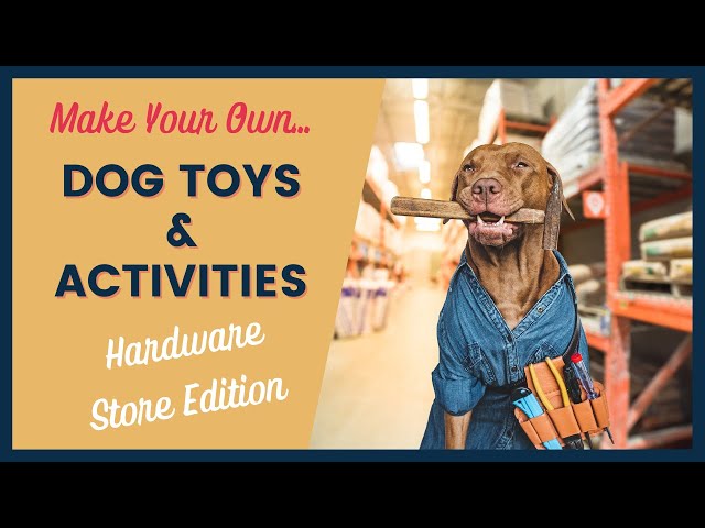 DIY Cognitive Dog Toys For When You're Stuck At Home