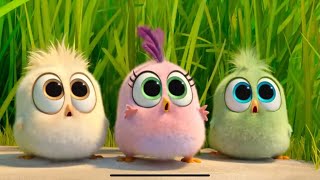 J.Geco - Chicken Song / The Angry Birds ( Best 2023 Music Video 4k)