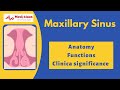 Anatomy of maxillary sinus
