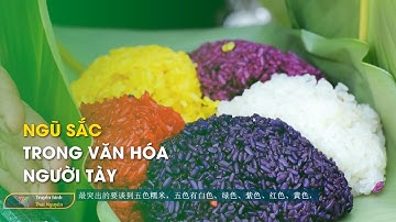 Ngũ sắc trong văn hóa người Tày – Thái Nguyên Corner 11/6/2024 | Thái Nguyên TV