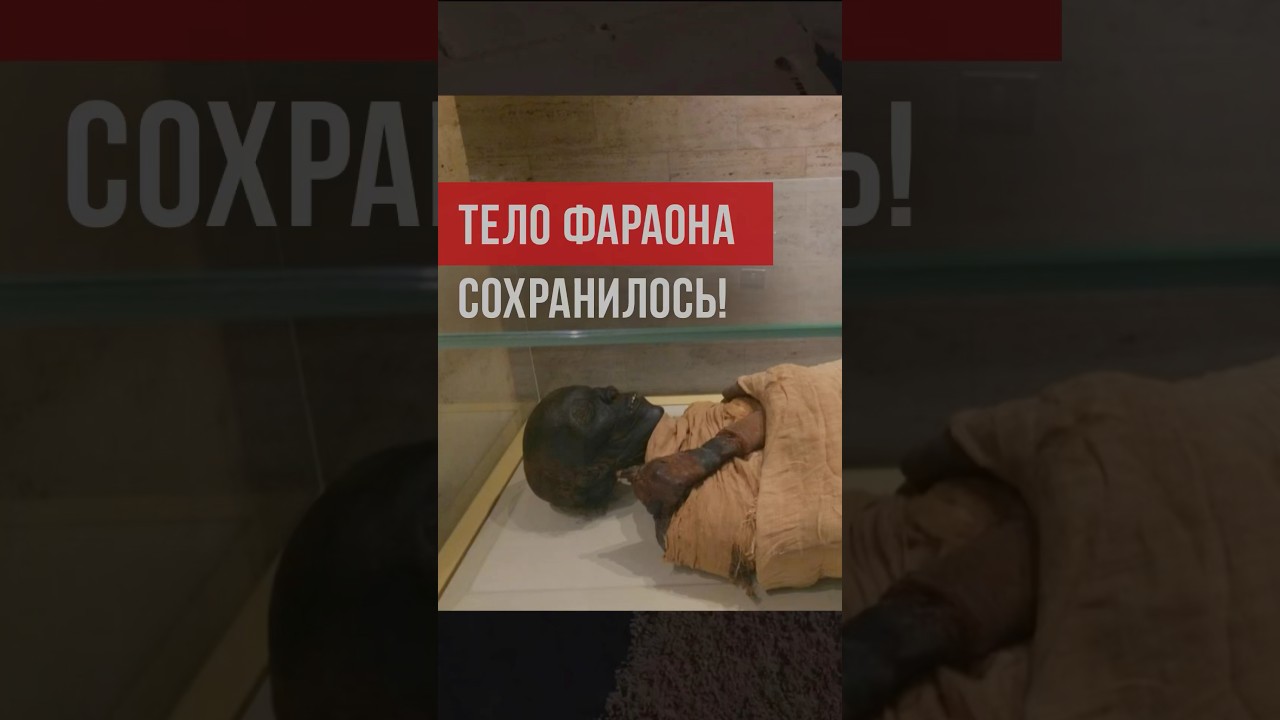 Тело фараона аль-Валид ибн Мус&lsquo;аб сохранилось до наших дней и пребывает в музее Египта. #ислам #думу