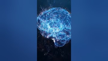 Computers Made From Human Brain Cells