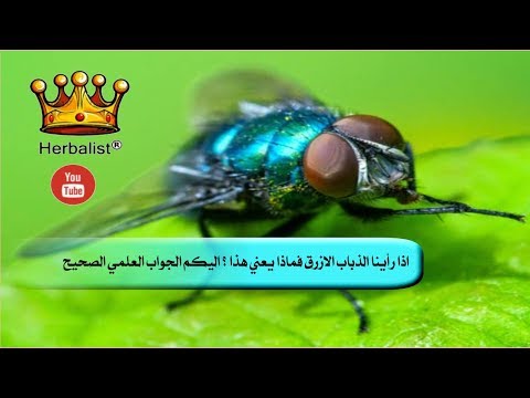 فيديو: هل يمكنك جز العشب الأزرق؟