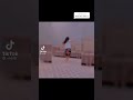 اسم نشميه