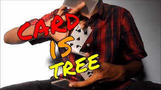 CARD..IS..TREE!! (WOW Season-2 , Ep-1)