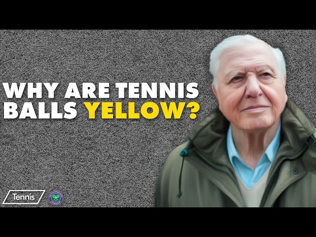 Fans are only just realising why tennis balls are yellow… and it's