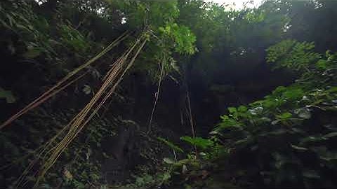 سورة الغاشية تلاوة عذبة بصوت القارىء هزاع البلوشي