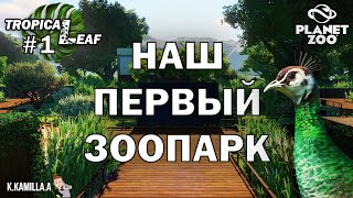 PLANET ZOO — НАШ ПЕРВЫЙ ЗООПАРК | TROPICAL LEAF #1 | ПЕСОЧНИЦА | ВОЛЬЕР ДЛЯ ПАВЛИНОВ screenshot 5