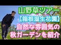 【おすすめガーデン】箱根湿生花園で秋の山野草を味わう(2026年9月)🪻🌼