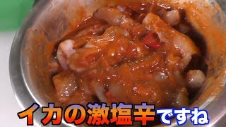 イカの激辛塩辛をスペースデリバリー