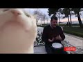حصريا اغنيه ضحكه صفراء