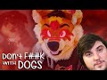 Dont mess with dogs a zoosadist story part 1