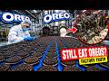 Inside Oreo Factories: The Weird Truth Behind America’s Favorite Cookie