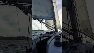 Terre en vue! Les Iles du Frioul #navigation Grand Surprise #snm de Marseille