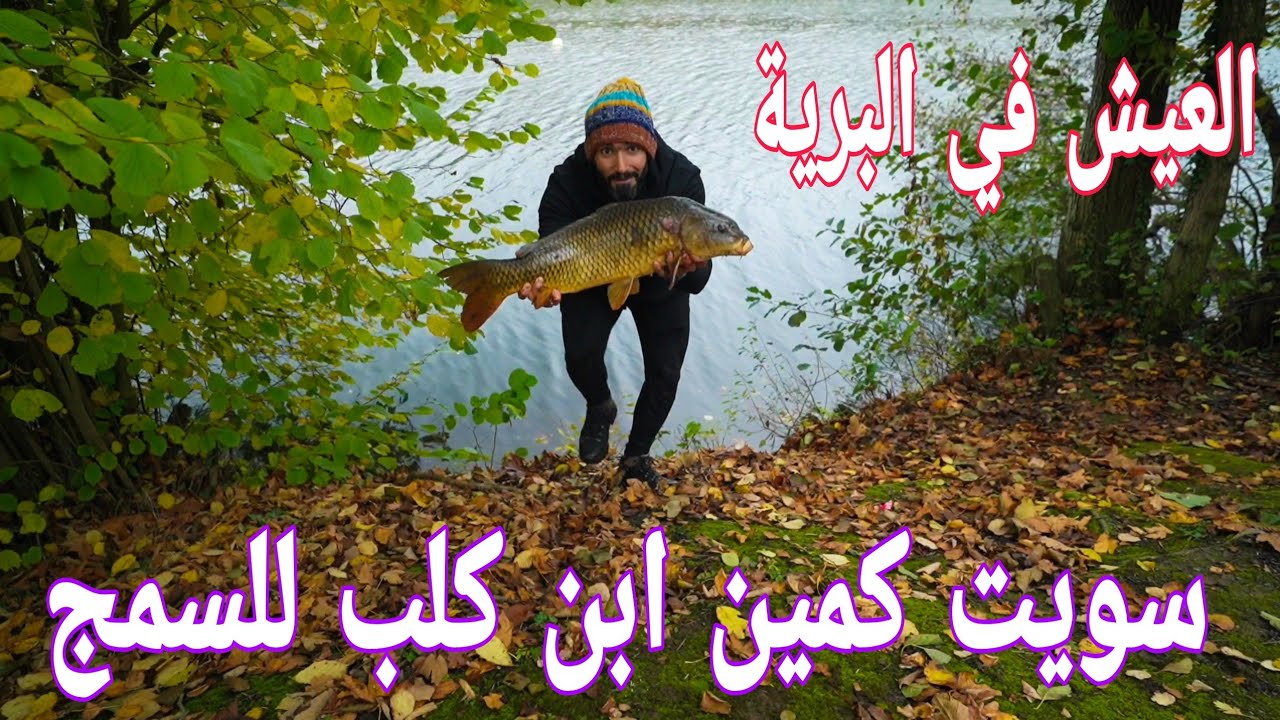 العيش في البرية سويت كمين ابن كلب للسمج