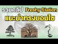 รวมคลิปแนะนำทรงบอนไซ