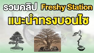 รวมคลิปแนะนำทรงบอนไซ