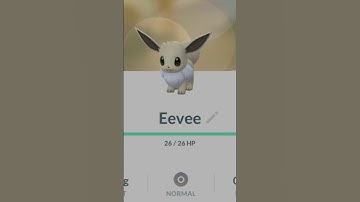 ✨Shiny Eevee✨what a luck|| Rare spawn 🔥🔥