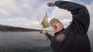Calico Bass with Team RainShadow