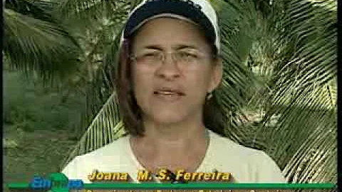 Como combater a broca do cocô?