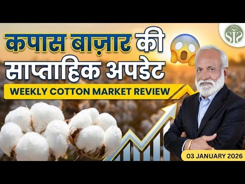 इस हफ्ते कपास में क्या बदला? 😨|| Weekly Cotton Market Review #kapas #cotton
