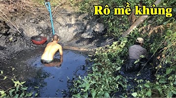 Cái vũng rau muống nhỏ mà cá rô mề to gê | THÚ VUI MIỀN TÂY