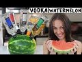 Vodka Watermelon!  -  Tipsy Bartender