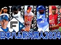 【日本ハム新外国人2024】日本ハムファイターズ新外国人をわかりやすく解説！！メジャー通算108発の大物助っ人＆あの男が帰ってきた！？