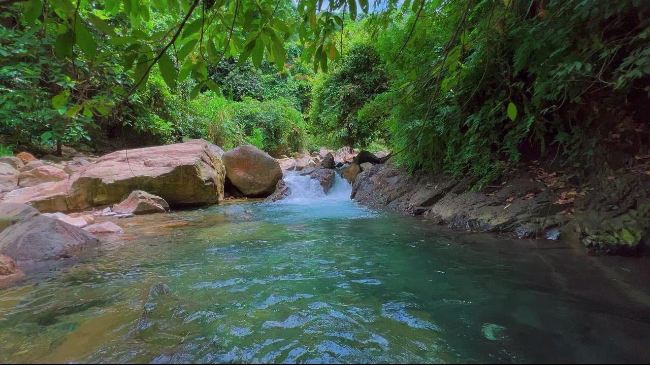 Beautiful River Sounds for Deep Sleep | Relaxing Water Ambience for Sleeping, Studying & Meditation