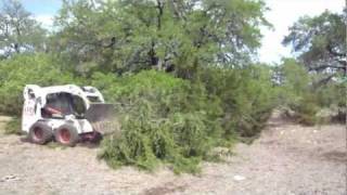 Cedar Tree Cutting Machine