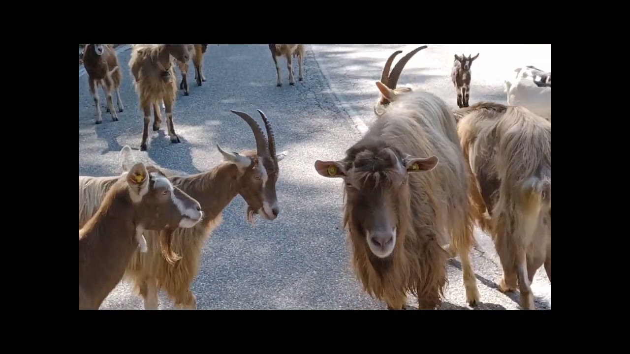 verso Belprato, Pertica Alta. 30 agosto 2006. My Italy 307