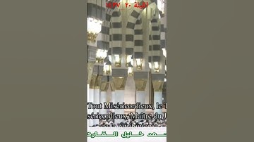 سورة الفاتحة للشيخ محمد خليل القارئ -ليلة 20 1437