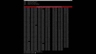 Sending a job in a slurm cluster