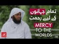 [HD] Mercy To The Worlds | Tamaam Jahaano Ke Liye Rehmat
