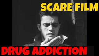  DRUG ADDICTION  CLASSIC 1951 DRUG USE SCARE FILM XD12644a