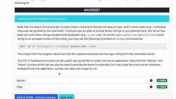 Buffer Overflow & Shellcode Exploit in Action! 💻🔥 Reverse Engineering | 🐚 /bin/sh Shellcode