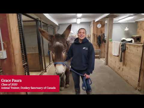 Meet Grace: Equine Management Alum