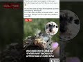breaking news short trends