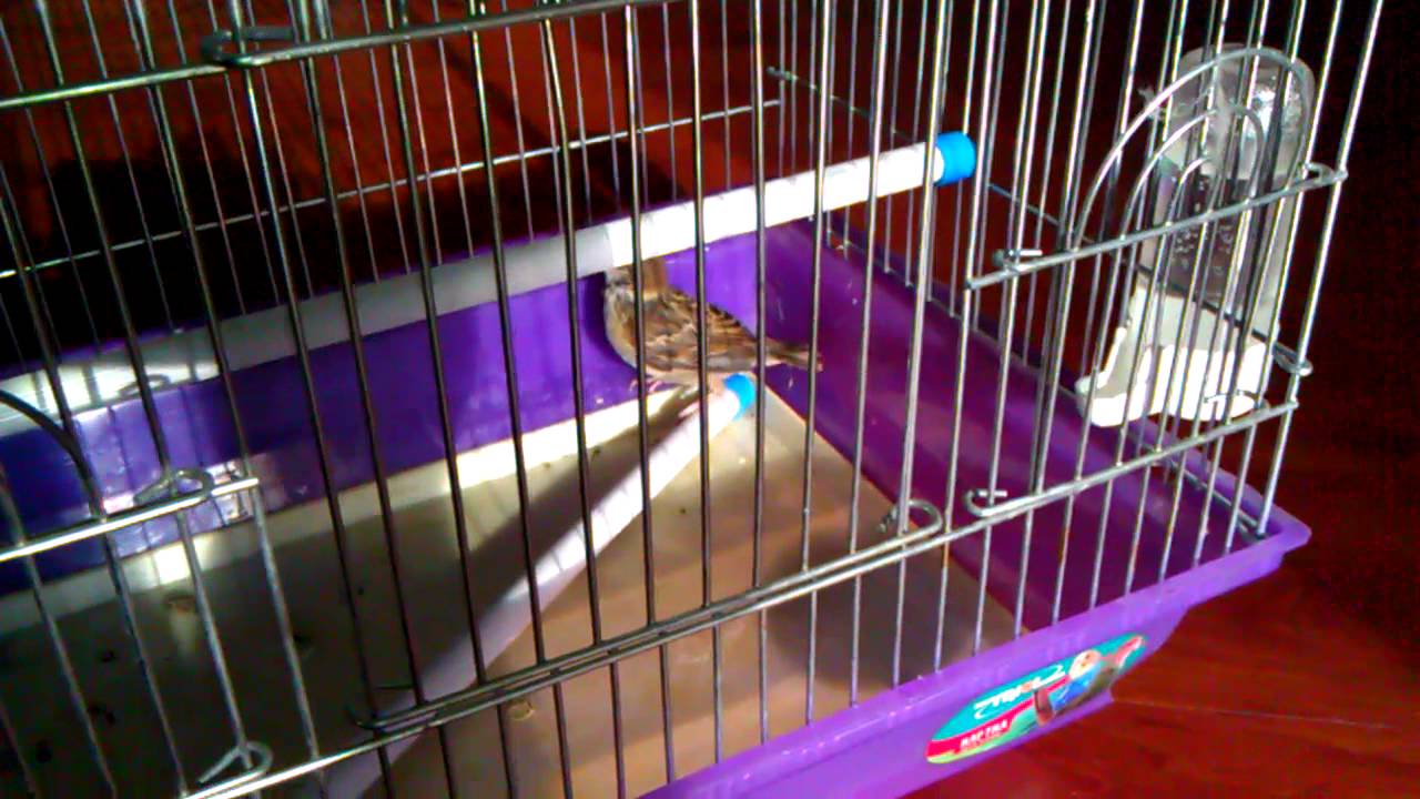 Off top. Для души!!!