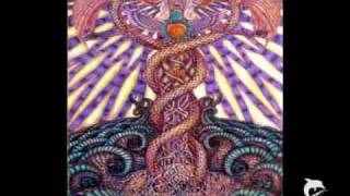 Embryo Infinity Rebirth - Walls 1971