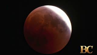 Partial lunar eclipse to grace Canadian skies this week