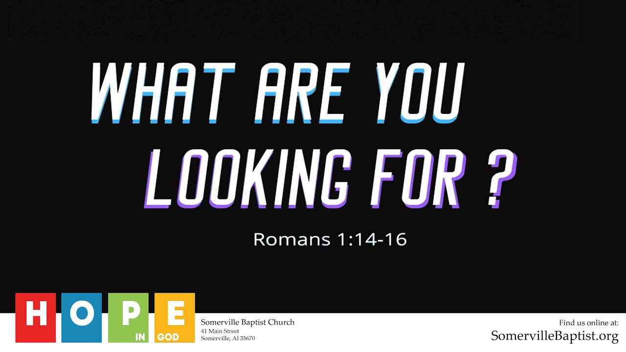 What Are You Looking For