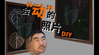 光栅照片｜如何把时间“封印”在一幅画里？