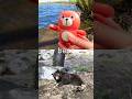 Animal Names | Kids Learn at the Lake: Bear Cheetah Flamingo African Buffalo Monkey