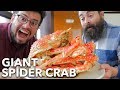 Eating a HUGE 2-Meter SPIDER CRAB in JAPAN! | Heda, Shizuoka Prefecture