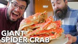 Eating A Huge 2 Meter Spider Crab In Japan Heda Shizuoka Prefecture Youtube