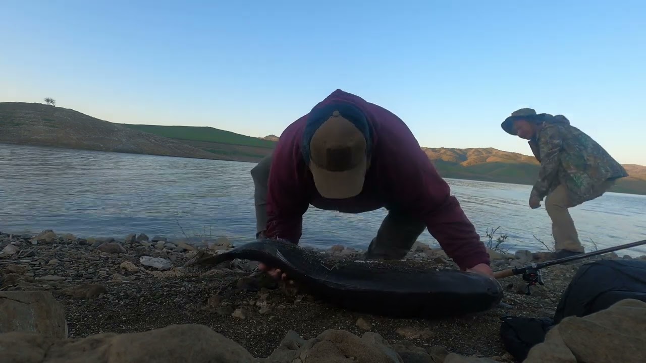 San Luis Reservoir Striped Bass Fishing YouTube