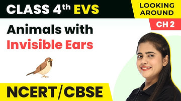 Animals with Invisible Ears - Ear to Ear | Class 4 EVS